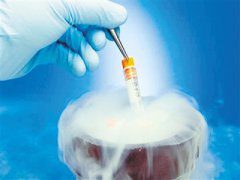 关于试管代孕中胚胎冷冻的相关知识！